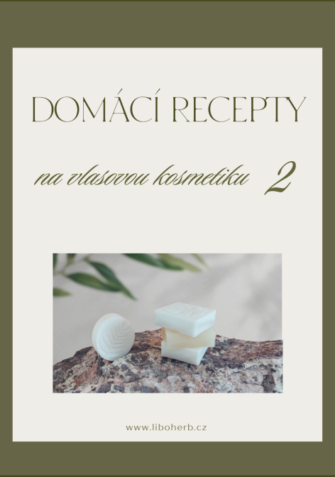 Domácí recepty na vlasovou kosmetiku 2