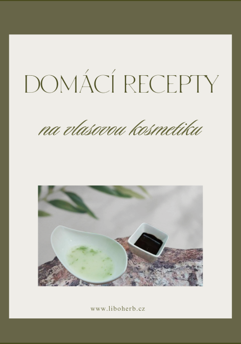 Domácí recepty na vlasovou kosmetiku