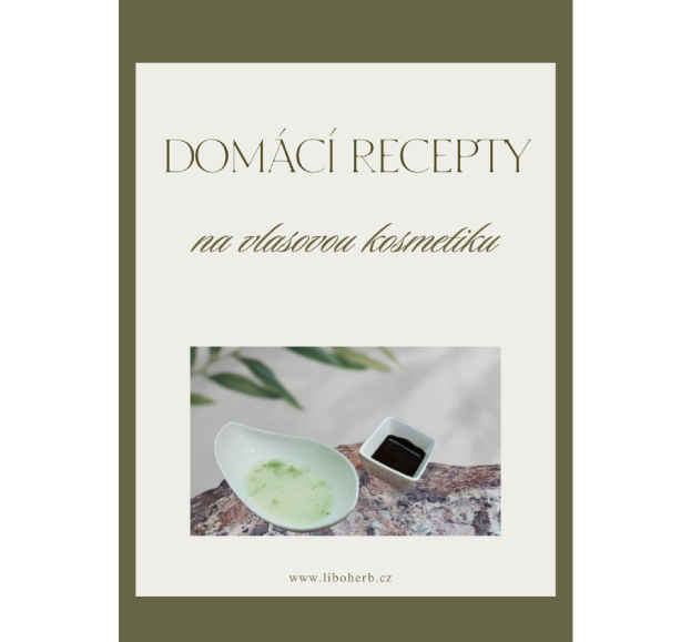 Domácí recepty na vlasovou kosmetiku
